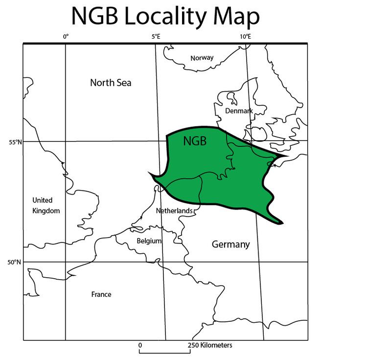 North German basin