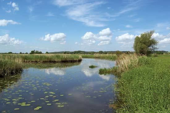 North German Plain North German Plain plain Germany Britannicacom