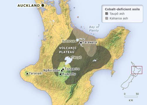 North Island Volcanic Plateau Cobaltdeficient areas Diseases of sheep cattle and deer Te Ara