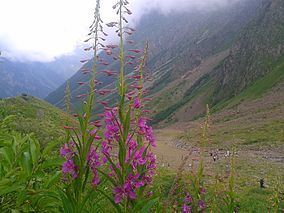 North Ossetia Nature Reserve httpsuploadwikimediaorgwikipediacommonsthu
