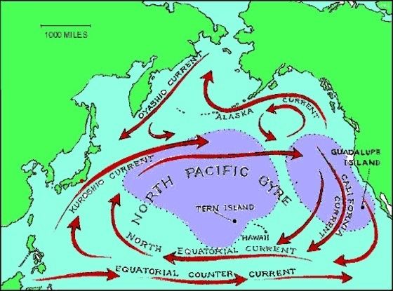 North Pacific Current Ocean currents streams