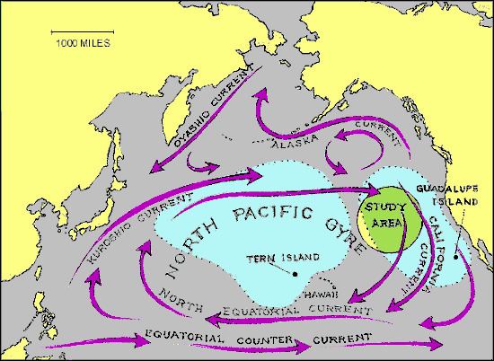 North Pacific Gyre North Pacific Gyre Garbage Patch San Domenico School