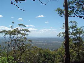 North Tamborine, Queensland httpsuploadwikimediaorgwikipediacommonsthu