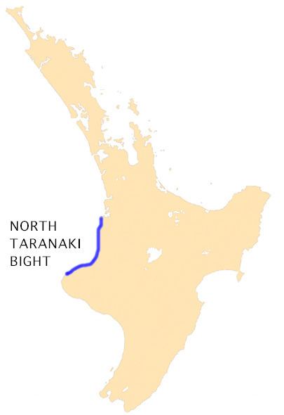 North Taranaki Bight