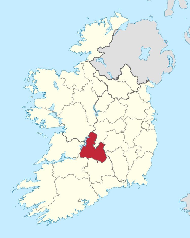 North Tipperary County Council election, 1999