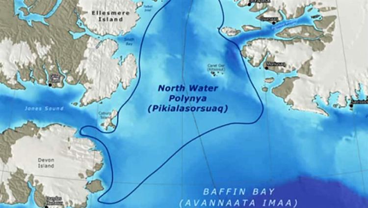 North Water Polynya NunatsiaqOnline 20160914 NEWS North Water polynya must be