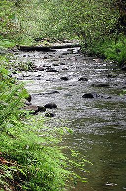 North Yamhill River httpsuploadwikimediaorgwikipediacommonsthu