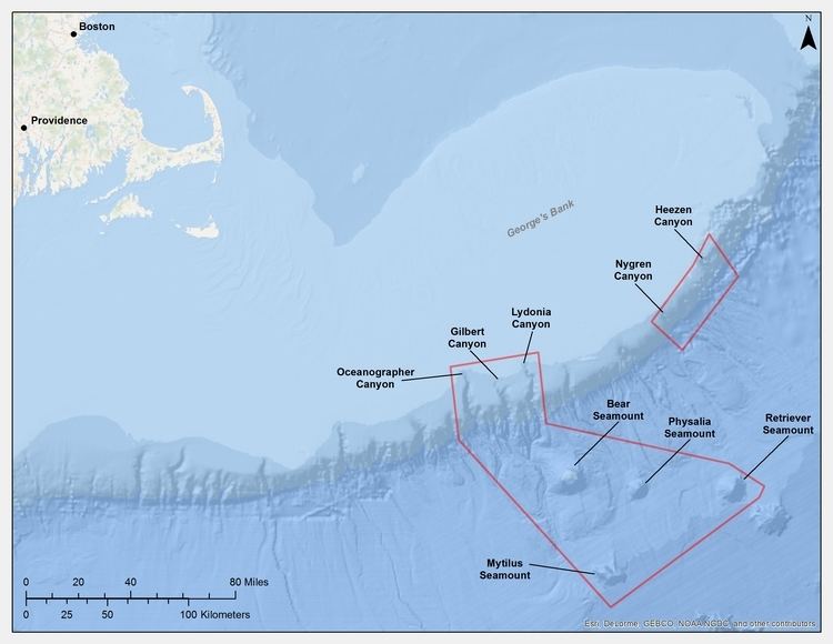 Northeast Canyons and Seamounts Marine National Monument On The Proposed New England Marine Monument Marine Fish