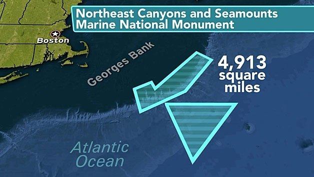 Northeast Canyons and Seamounts Marine National Monument Good Bad News After President Designates Marine National Monument