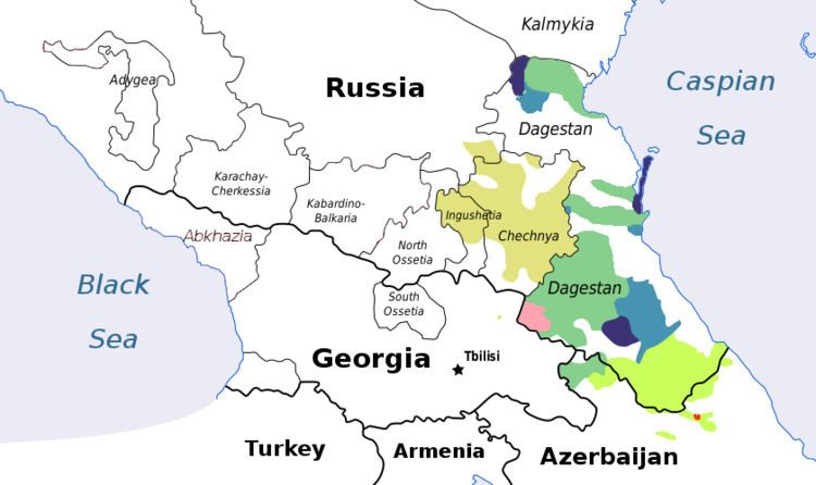 Northeast Caucasian languages