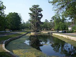 Northeast Gainesville Residential District httpsuploadwikimediaorgwikipediacommonsthu