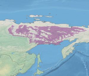 Northeast Siberian taiga httpsuploadwikimediaorgwikipediacommonsthu