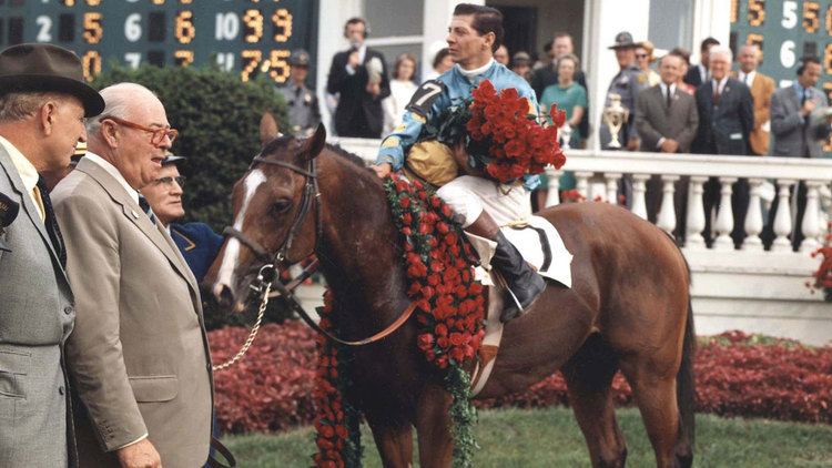 Northern Dancer 10 surprising facts about Northern Dancer