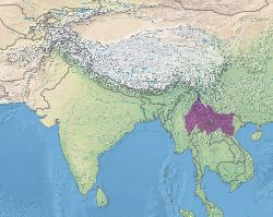 Northern Indochina subtropical moist forests httpsuploadwikimediaorgwikipediacommonsthu