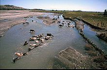 Northern Laclo River httpsuploadwikimediaorgwikipediacommonsthu