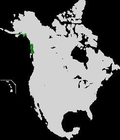 Northern Pacific coastal forests (WWF ecoregion) httpsuploadwikimediaorgwikipediacommonsthu