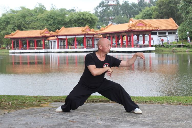 Northern Praying Mantis Praying Mantis Kung Fu Training in Sydney Learn Our Specialty
