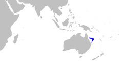 Northern sawtail catshark httpsuploadwikimediaorgwikipediacommonsthu