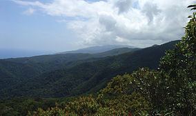 Northern Sierra Madre Natural Park httpsuploadwikimediaorgwikipediacommonsthu