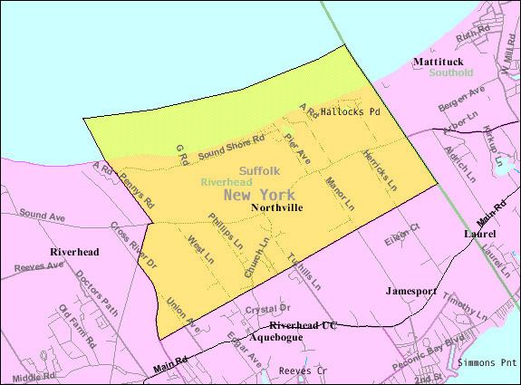 northville township is in what county