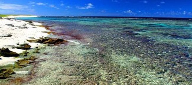 Northwestern Hawaiian Islands kaheaorgissuesoceanprotectionnorthwesternhaw