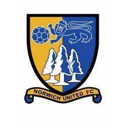 Norwich United F.C. Norwich United North Division The Ryman Isthmian Football League