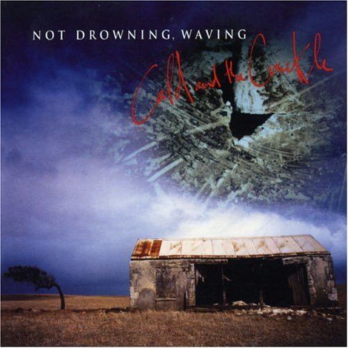 Not Drowning, Waving Not Drowning Waving Records LPs Vinyl and CDs MusicStack