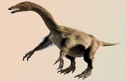 Nothronychus Nothronychus Dinosaur facts information Nothronychus extinction