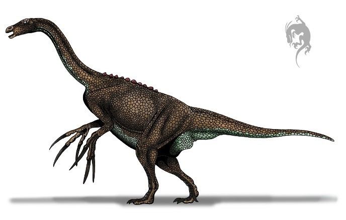 Nothronychus Nothronychus Pictures amp Facts The Dinosaur Database