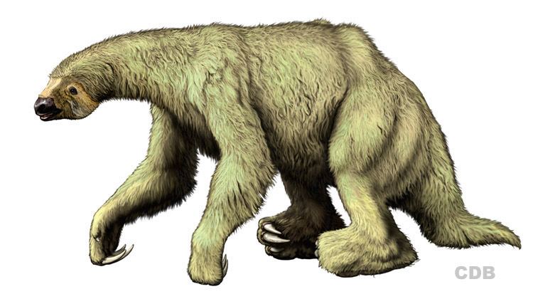 Nothrotheriops Dinosaur Prehistoric Mammal Giant Sloth Nothrotheriops a photo on