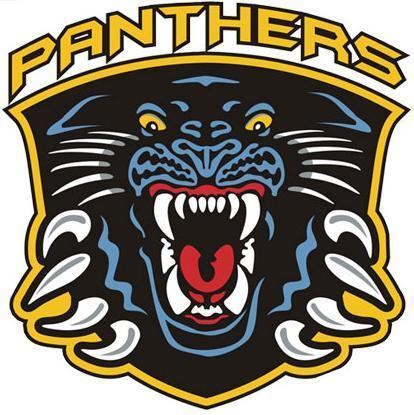 Nottingham Panthers httpssmediacacheak0pinimgcomoriginalsac