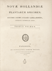 Novae Hollandiae Plantarum Specimen httpsd1k5w7mbrh6vq5cloudfrontnetimagescache