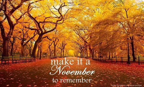 November to Remember Make it a November to remember by Agnes Priseceanu WHI