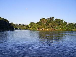 Novo River (Jamanxim River) httpsuploadwikimediaorgwikipediacommonsthu