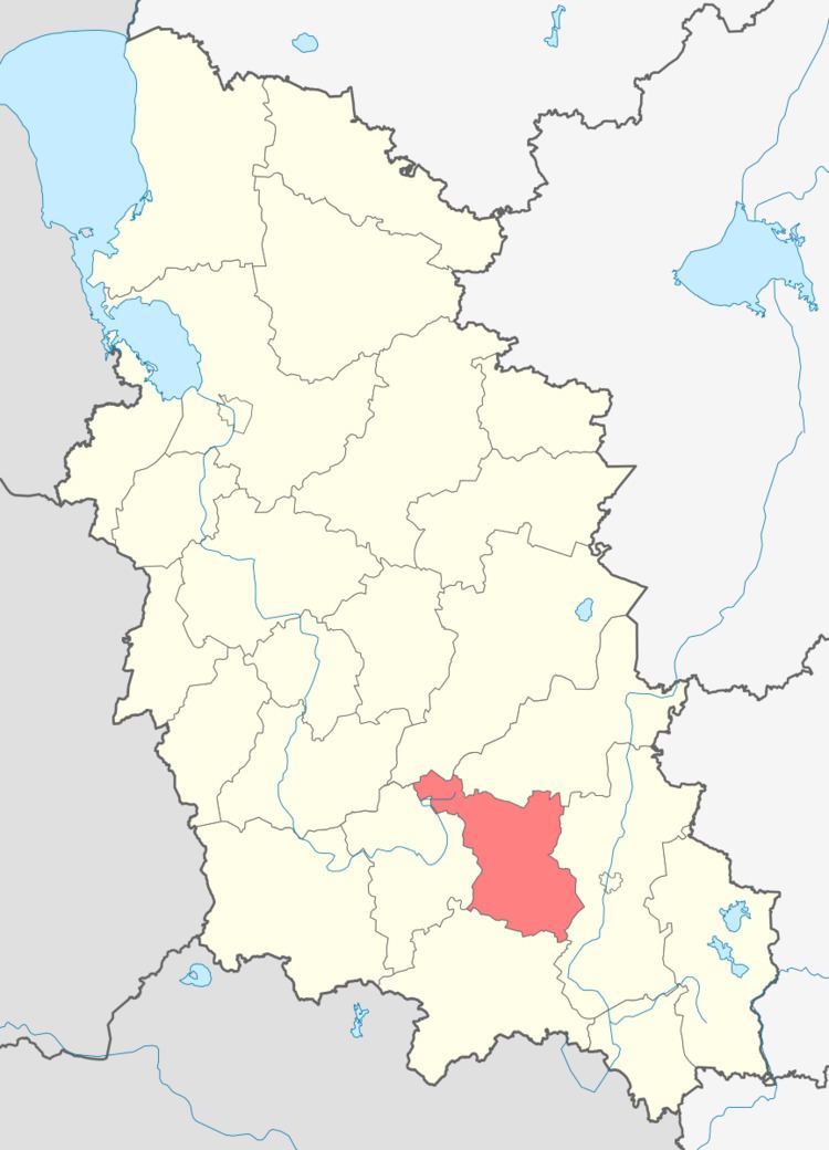 Novosokolnichesky District