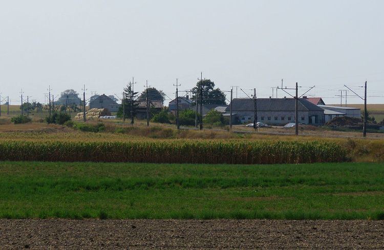 Nowa Wieś, Brodnica County