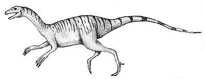 Nqwebasaurus The Dino Directory Nqwebasaurus Natural History Museum
