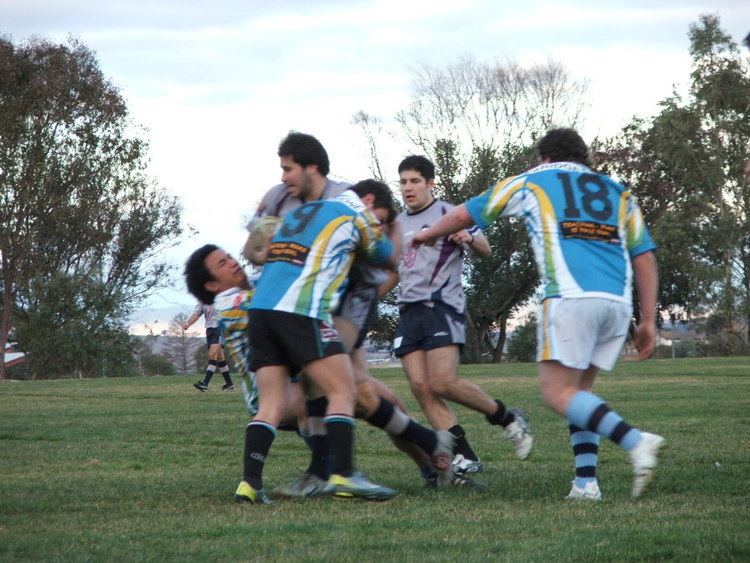 NSW Tertiary Student Rugby League