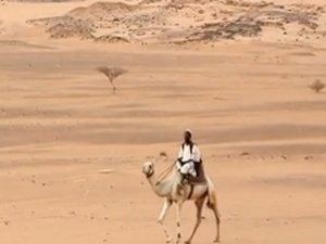 Nubian Desert Nubian Desert Nubian Desert Sudan Nubian Desert Facts