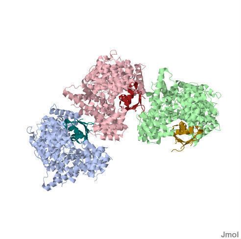 Nuclear cap-binding protein complex