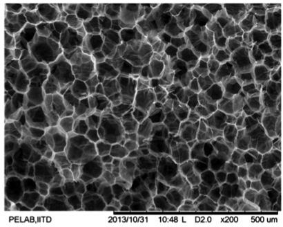 Nucleation in microcellular foaming