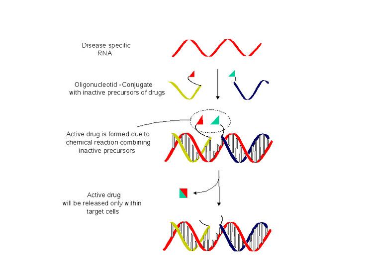 Nucleic acid templated chemistry