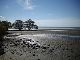 Nudgee Beach, Queensland httpsuploadwikimediaorgwikipediacommonsthu