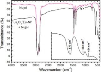 Nujol IR spectra of the Lu2O3EuNP powder suspended in nujol Figure
