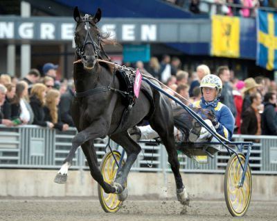 Nuncio (horse) Nuncio sweeps International Sprinter Masters Harnesslink