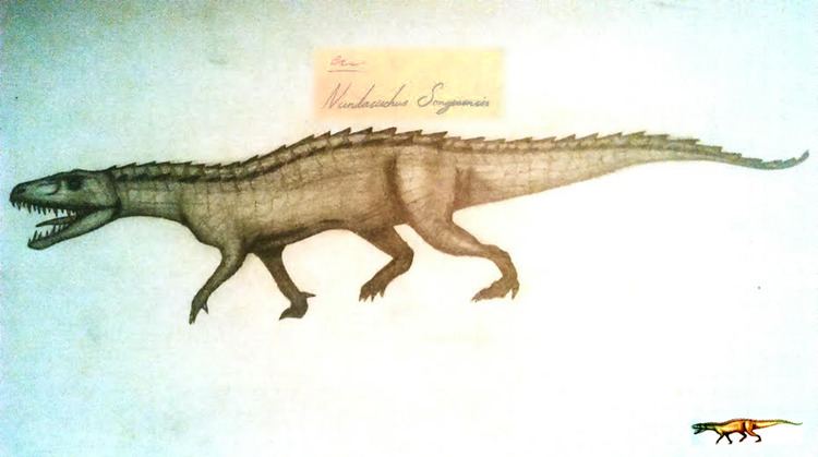Nundasuchus httpsuploadwikimediaorgwikipediacommons11