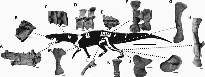 Nundasuchus Nundasuchus songeaensis a Paleo Profile