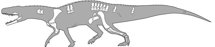Nundasuchus Nundasuchus Songeaensis The Scary Predator Crocodile That Preceded