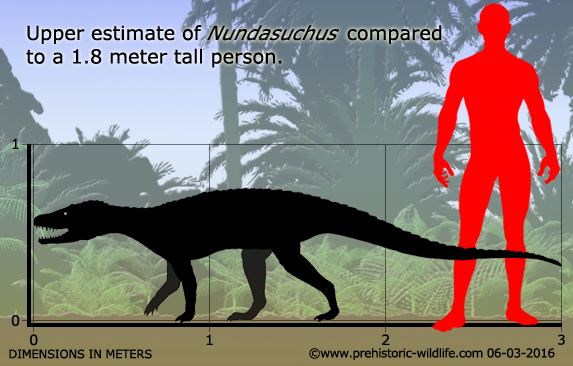 Nundasuchus Nundasuchus