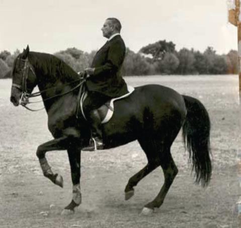 Nuno Oliveira JP Giacomini Master Horseman Photo Gallery